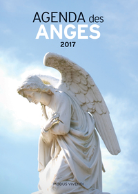 Picture of Agenda des anges 2017