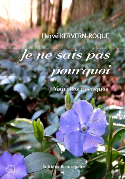 Picture of Je ne sais pas pourquoi