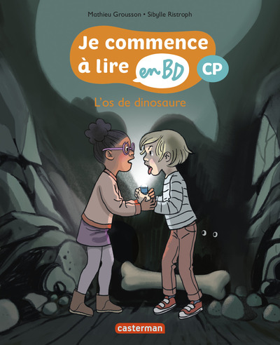 Image de L'os du dinosaure
