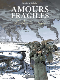 Image de Amours fragiles
