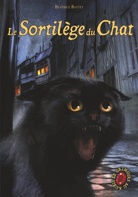 Image de Le grimoire au rubis