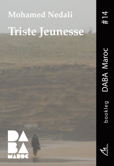 Picture of Triste jeunesse