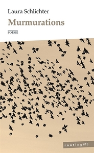 Image de Murmurations