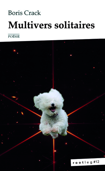 Image de Multivers solitaires