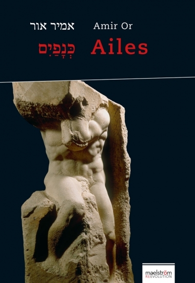 Image de Ailes