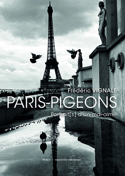 Picture of Paris-Pigeons