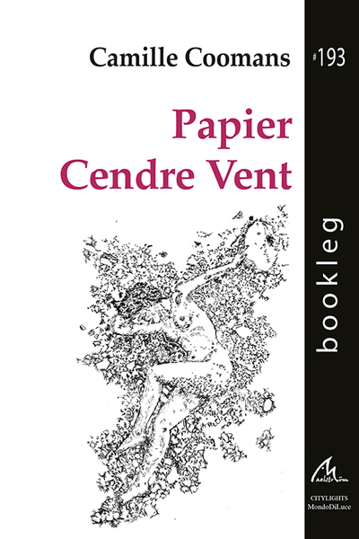 Picture of Papier Cendre Vent