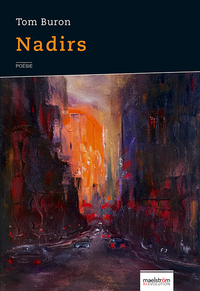 Picture of Nadirs