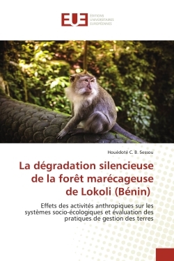 Image de La dégradation silencieuse de la forêt marécageuse de Lokoli (Bénin)