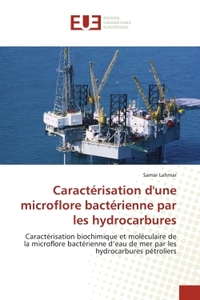 Image de Caractérisation d'une microflore bactérienne par les hydrocarbures