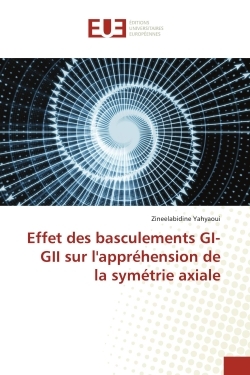 Picture of Effet des basculements GI-GII sur l'appréhension de la symétrie axiale