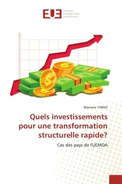Image de Quels investissements pour une transformation structurelle rapide?