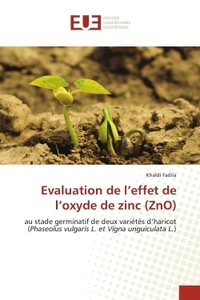 Image de Evaluation de l'effet de l'oxyde de zinc (ZnO)