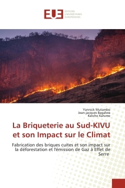 Image de La Briqueterie au Sud-KIVU et son Impact sur le Climat