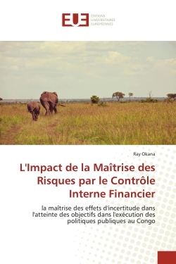Image de L'Impact de la Maîtrise des Risques par le Contrôle Interne Financier