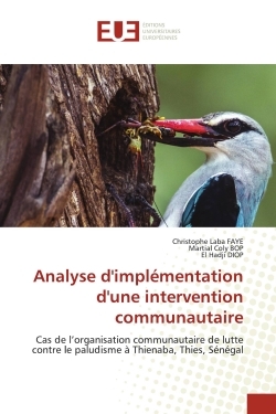Image de Analyse d'implémentation d'une intervention communautaire