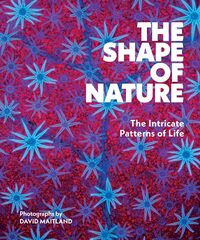 Image de The Shape of Nature
