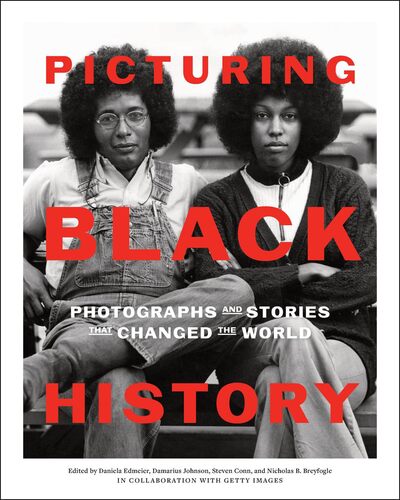 Image de Picturing Black History