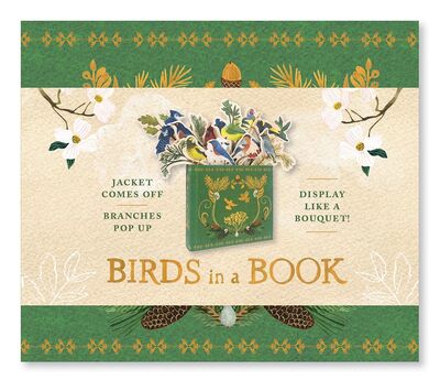 Picture of Birds in a Book
