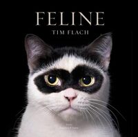 Image de Feline