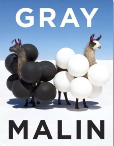Image de GRAY MALIN THE ESSENTIAL COLLECTION