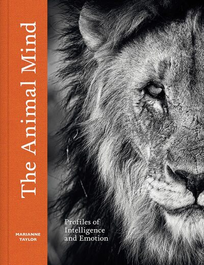 Image de The Animal Mind