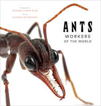 Image de ANTS