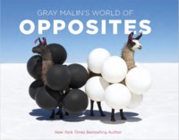 Image de A WORLD OF OPPOSITES
