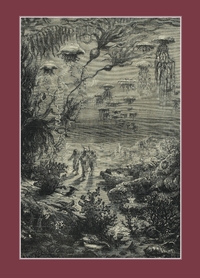 Image de Carnet blanc : Vingt mille lieues sous les mers, Jules Verne, 1871