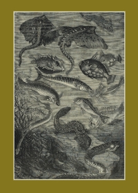 Image de Carnet blanc : Vingt mille lieues sous les mers, Jules Verne, 1871