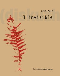 Image de L'invisible