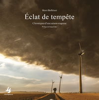 Picture of 1Éclats de tempête