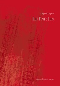 Picture of In/fractus