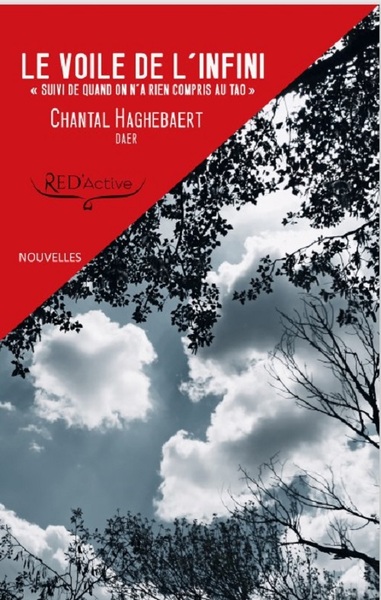 Image de LE VOILE DE L'INFINI