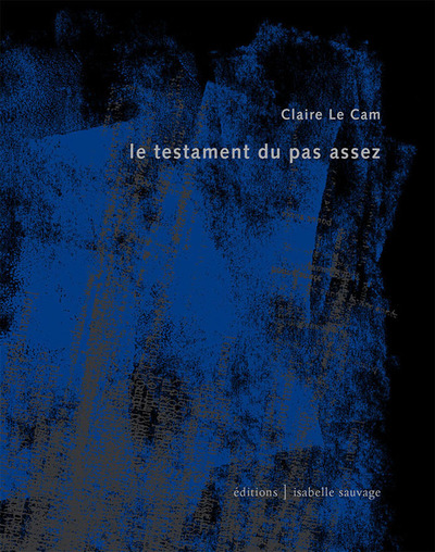 Picture of Le testament du pas assez