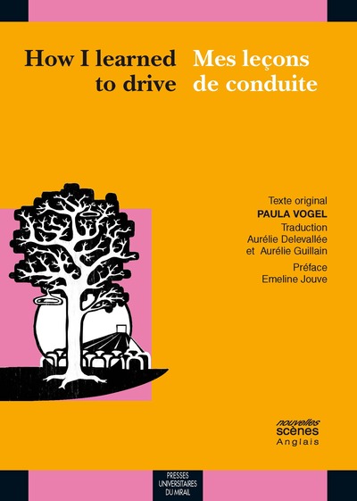Picture of How i learned to drive / mes lecons de conduite