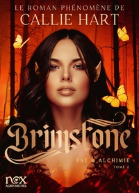 Image de Brimstone - Fae & Alchimie T2 (version française)