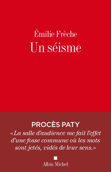 Image de Un séisme