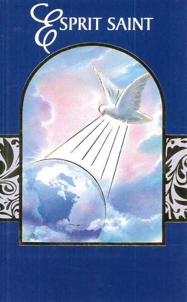 Image de Lot de 12 Cartes doubles Biblio Saint Esprit