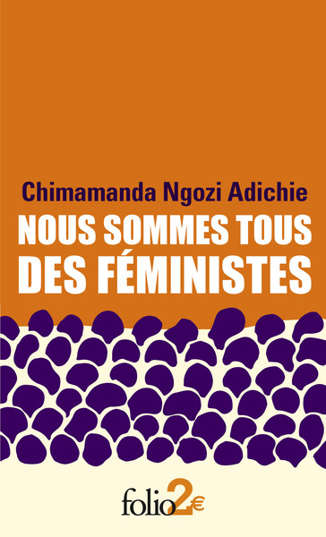 Image de Nous sommes tous des féministes/Le danger de l'histoire unique