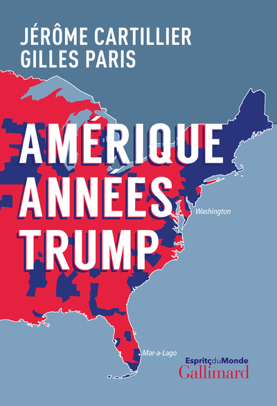 Picture of Amérique années Trump