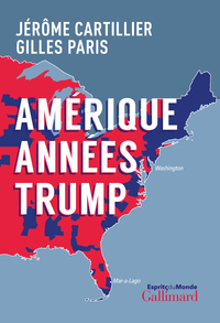 Picture of Amérique années Trump