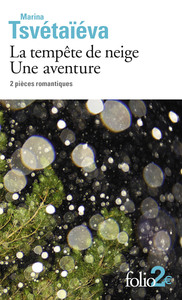 Image de La tempête de neige - Une aventure