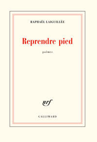 Picture of Reprendre pied
