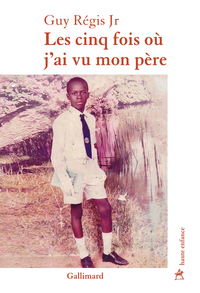Image de Les cinq fois où j'ai vu mon père