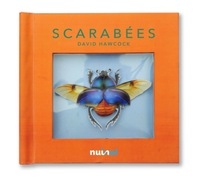 Picture of Scarabées