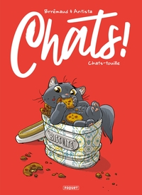 Picture of Chats T4