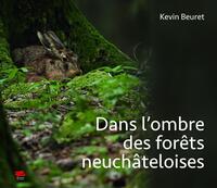 Picture of Dans l'ombre des forêts neuchâteloises