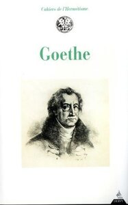 Picture of Goethe