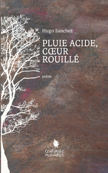 Image de Pluie acide, coeur rouillé